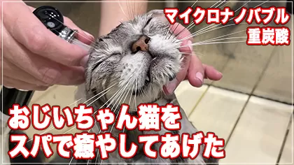 【キャットスパ】16歳のおじいちゃん猫をスパで癒やしてあげた【重炭酸・マイクロナノバブル】