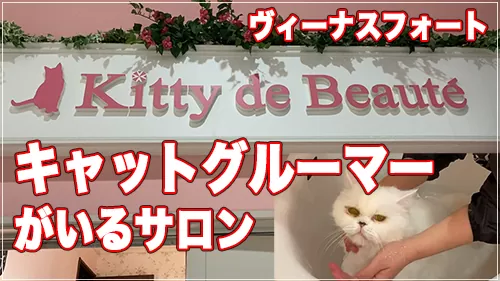 キャットグルーマーTV : 【ヴィーナスフォート】キャットグルーマーがいる猫専門サロン【Kitty de Beaute】